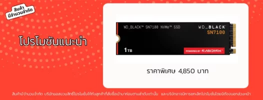 1 TB SSD M.2 PCIe 4.0 WD BLACK SN7100 (WDS100T4X0E) NVMe M.2 2280 1 TB SSD M.2 PCIe 4.0 WD BLACK SN7100 (WDS100T4X0E) NVMe M.2 2280